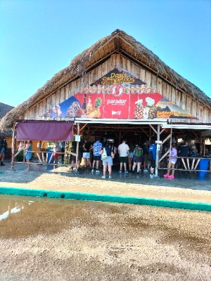 Ecco il locale dove si può bere la pina colada