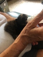 Nina succhia con avidità il latte